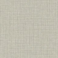 Light Pewter