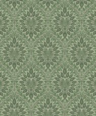 Fern