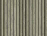 Blanched Pine