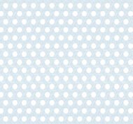 Carolina Blue and Eggshell