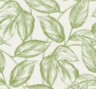 Apple Green
