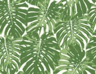 Basil Green and White