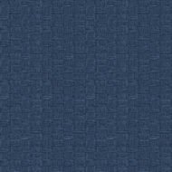Carolina Blue