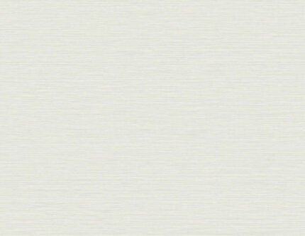 Silk 27 - Seedling | Cool Neutrals Textures Wallpaper for Kitchen, Hallway, and Entryway