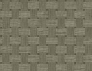 Raw Umber