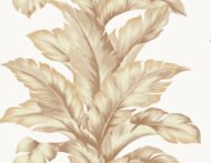 Umber