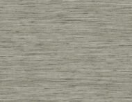 Volcanic Ash