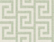 Fern