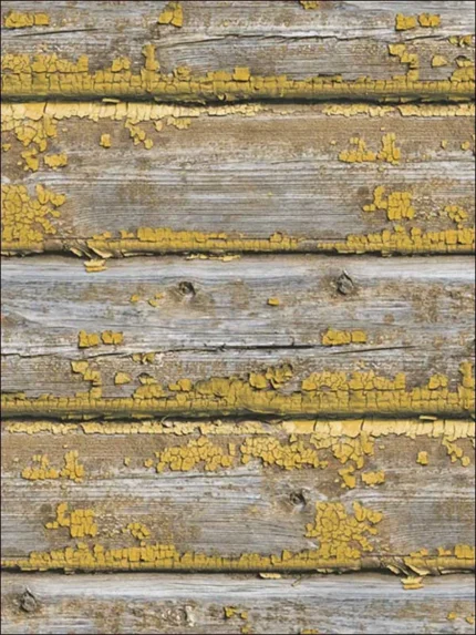 50203 wood wallpaper for bedroom by Pelican Prints