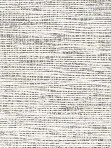 almond textured wallpaper for office by Carl Robinson