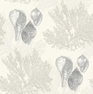 Color Variation