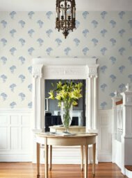 Color Variation