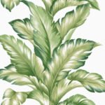Big Leaf - Summer Fern | Greens Florals, Botanicals and Tropicals Wallpaper for Half Bath, Hallway, and Powder Room