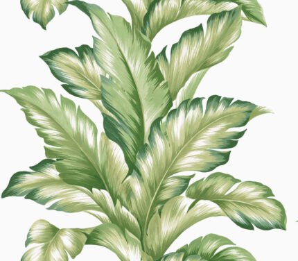 Big Leaf - Summer Fern | Greens Florals, Botanicals and Tropicals Wallpaper for Half Bath, Hallway, and Powder Room