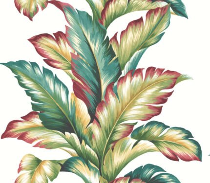 Big Leaf - Multicolored | Multicolors Florals, Botanicals and Tropicals Wallpaper for Half Bath, Office, and Accent Wall