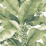 Paradisio Palm - White and Green | Greens Florals, Botanicals and Tropicals Wallpaper for Powder Room, Office, and Bedroom