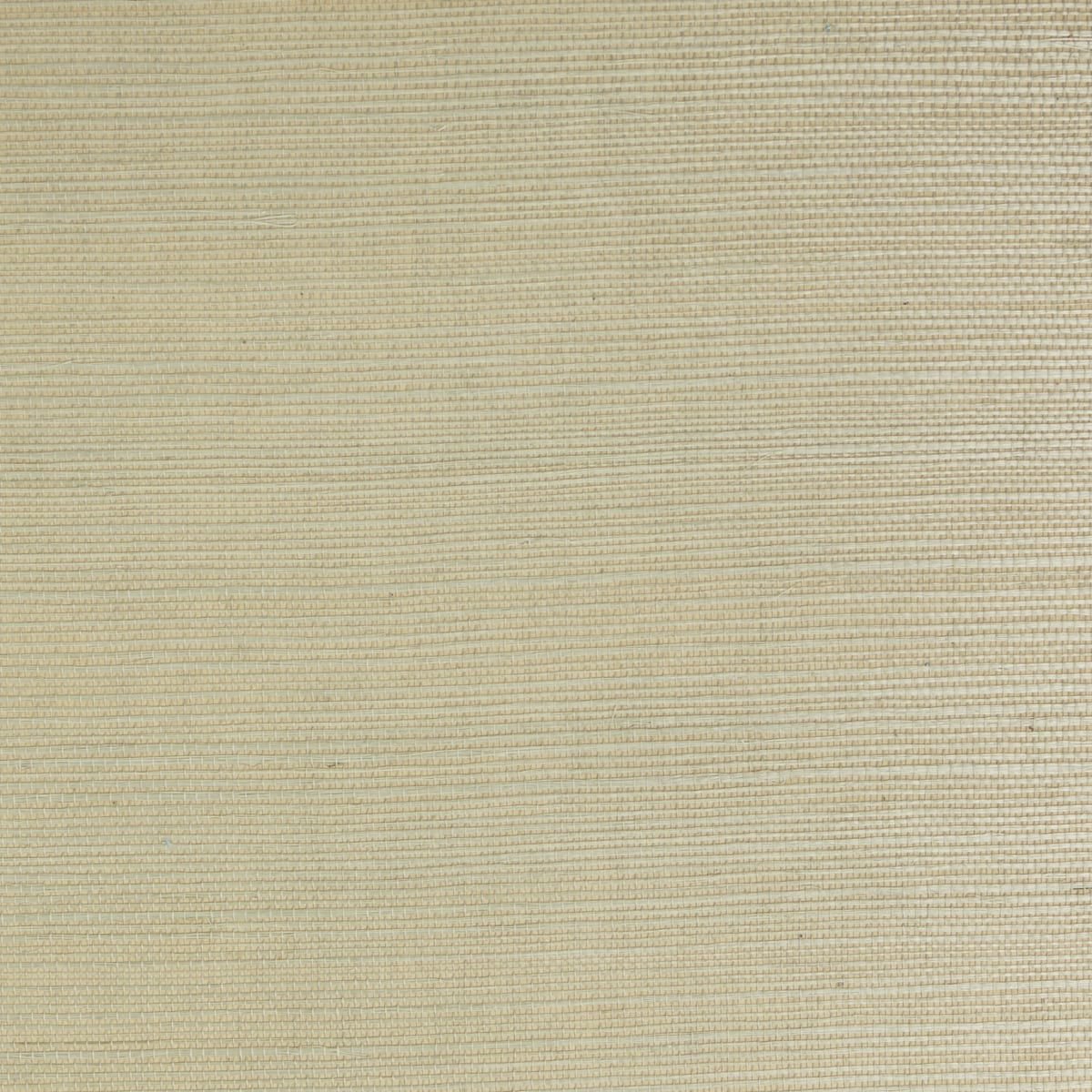 0069741_sisal-hidden-cove Sisal - Hidden Cove | Warm Neutrals and Beiges Textures Wallpaper for Living Room, Dining Room, and Kitchen - Image 1
