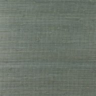 Seagrass