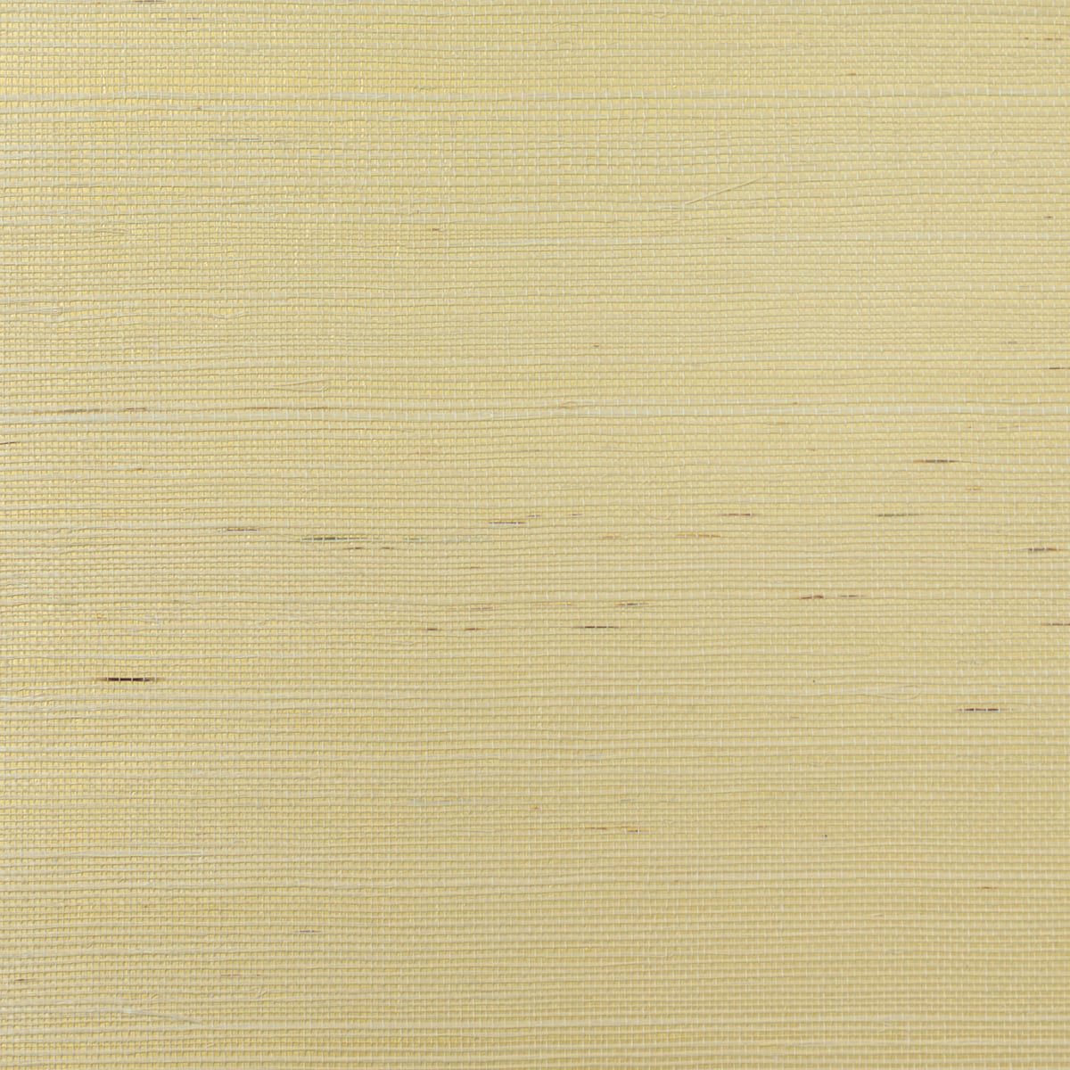 0069788_sisal-ivory-metallic-gold Sisal - Ivory and Metallic Gold | Golds Textures Wallpaper for Entryway, Powder Room, and Kitchen - Image 1