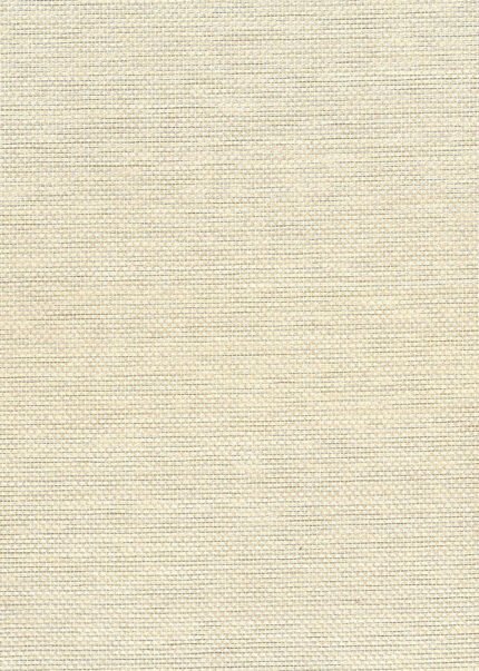 Paperweave - Metallic Silver and Off White | Silvers and Pewters Textures Wallpaper for Hallway, Accent Wall, and Living Room