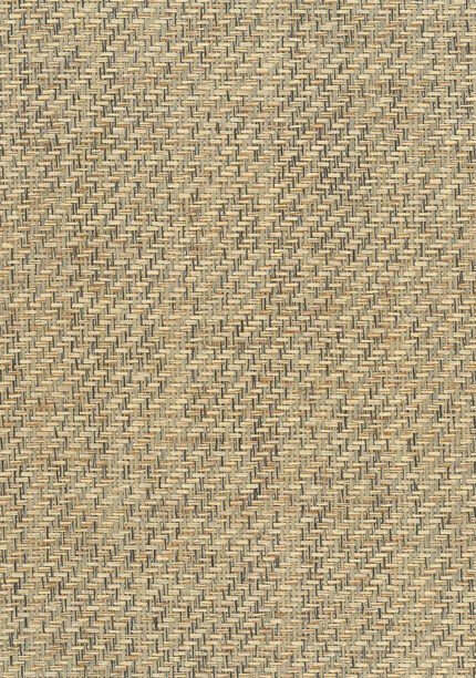 Paperweave - Buff and Brown | Browns and Taupes Textures Wallpaper for Half Bath, Powder Room, and Office