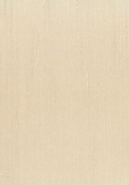 Stringcloth | Whites and Off Whites Textures Wallpaper for Entryway, Living Room, and Nursery