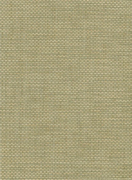 Paperweave - Green and Tan | Greens Textures Wallpaper for Entryway, Office, and Dining Room