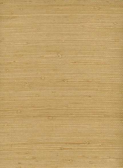 Jute - Tan | Browns and Taupes Textures Wallpaper for Office, Living Room, and Kitchen