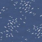 Navy Grey and White | Navys Animals, Birds and Insects Wallpaper for Bedroom, Half Bath, and Dining Room