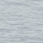 Navy Grey and White | Grays Nautical Wallpaper for Living Room, Entryway, and Half Bath