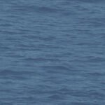 Navy Grey and White | Navys Nautical Wallpaper for Powder Room, Hallway, and Nursery