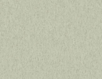Cork Texture 27