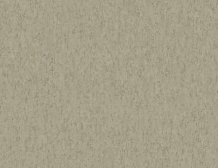 Cork Texture 27