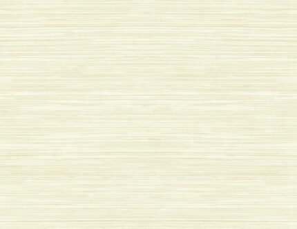Grasscloth Texture 27
