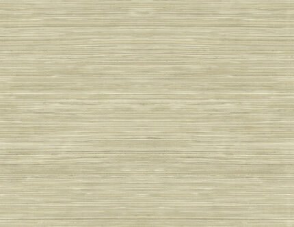 Grasscloth Texture 27