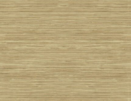 Grasscloth Texture 27