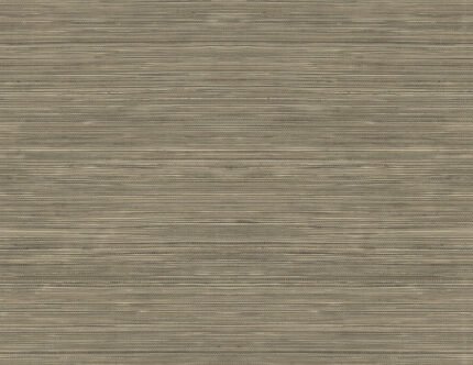 Grasscloth Texture 27