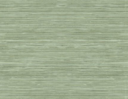 Grasscloth Texture 27