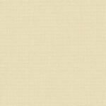 Weave Texture 27