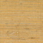 Arrowroot