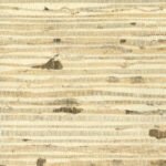 Arrowroot