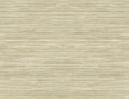 Grasscloth Texture 27