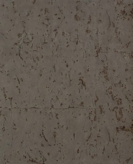 Moon Rock Cork - Shale | Browns and Taupes Textures Wallpaper for Accent Wall, Office, and Bedroom
