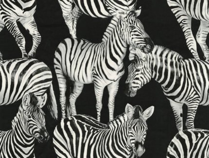 Zebra Romance - Contrasto | Blacks Animals, Birds and Insects Wallpaper for Entryway, Powder Room, and Office