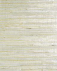 Silver Neutral