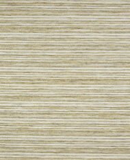 Warm Beige