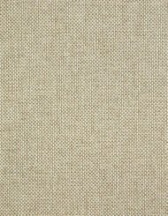 Taupe Cream