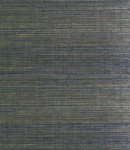 Black Neutral