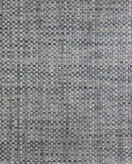 Blue Charcoal