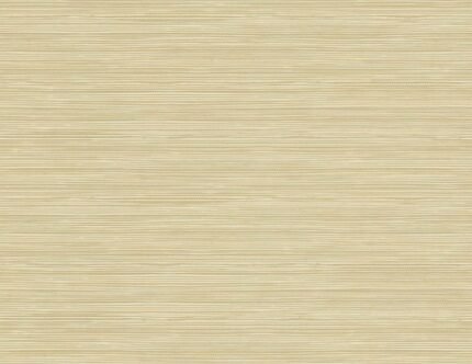 Geo Pampas Grasscloth Texture 27 - Harvest | Warm Neutrals and Beiges Textures Wallpaper for Office, Half Bath, and Powder Room